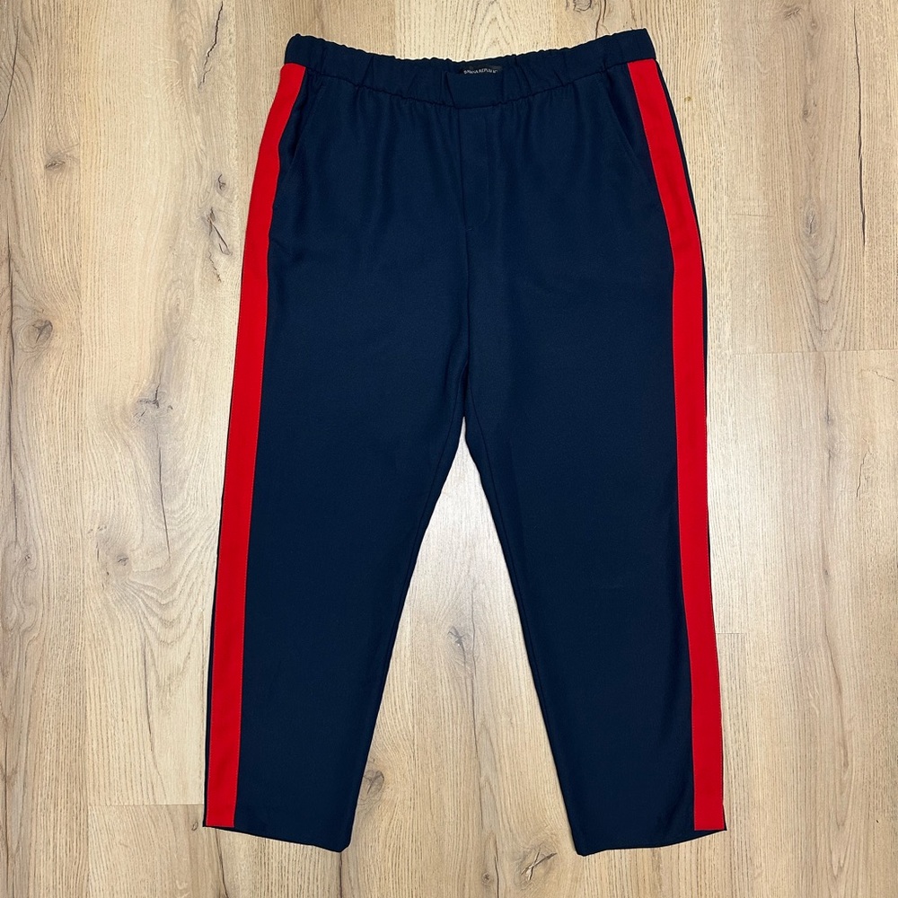 Banana Republic Navy Blue Trousers with Red Stripe